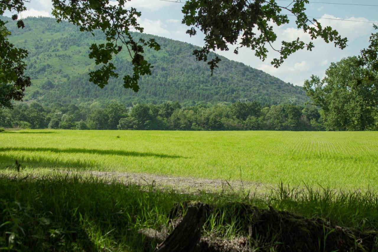 Il Fojot Villa La Cassa Buitenkant foto
